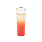 Coral Highball Spritzer Glasses